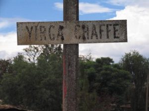 A local sign uses the spelling 'Yirga Chaffe' (Flickr: counterculturecoffee CC BY-NC-ND 2.0)